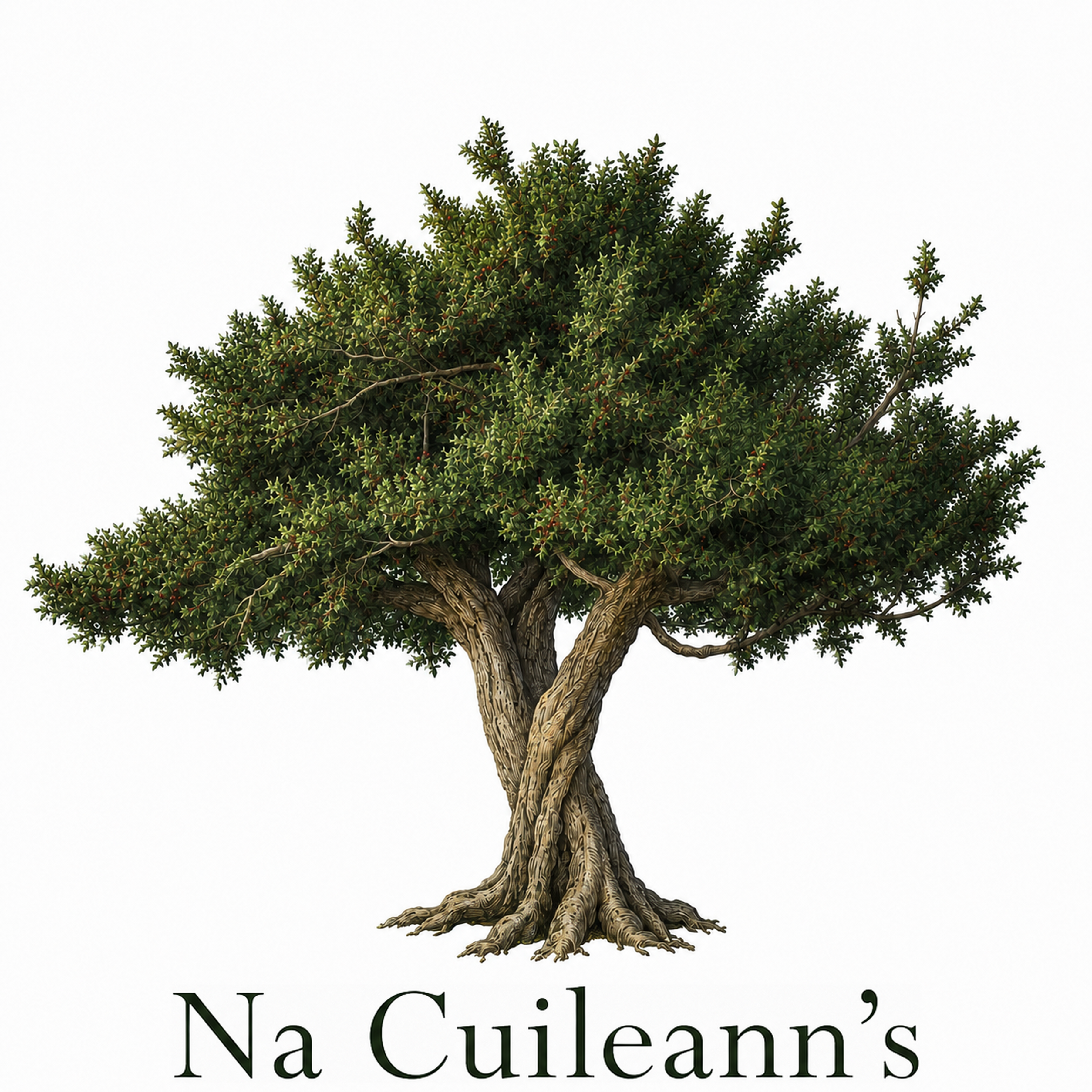 Na Cuileann's